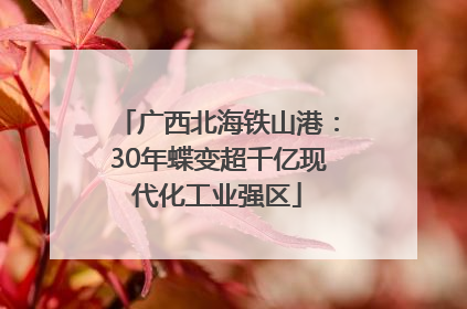 广西北海铁山港：30年蝶变超千亿现代化工业强区